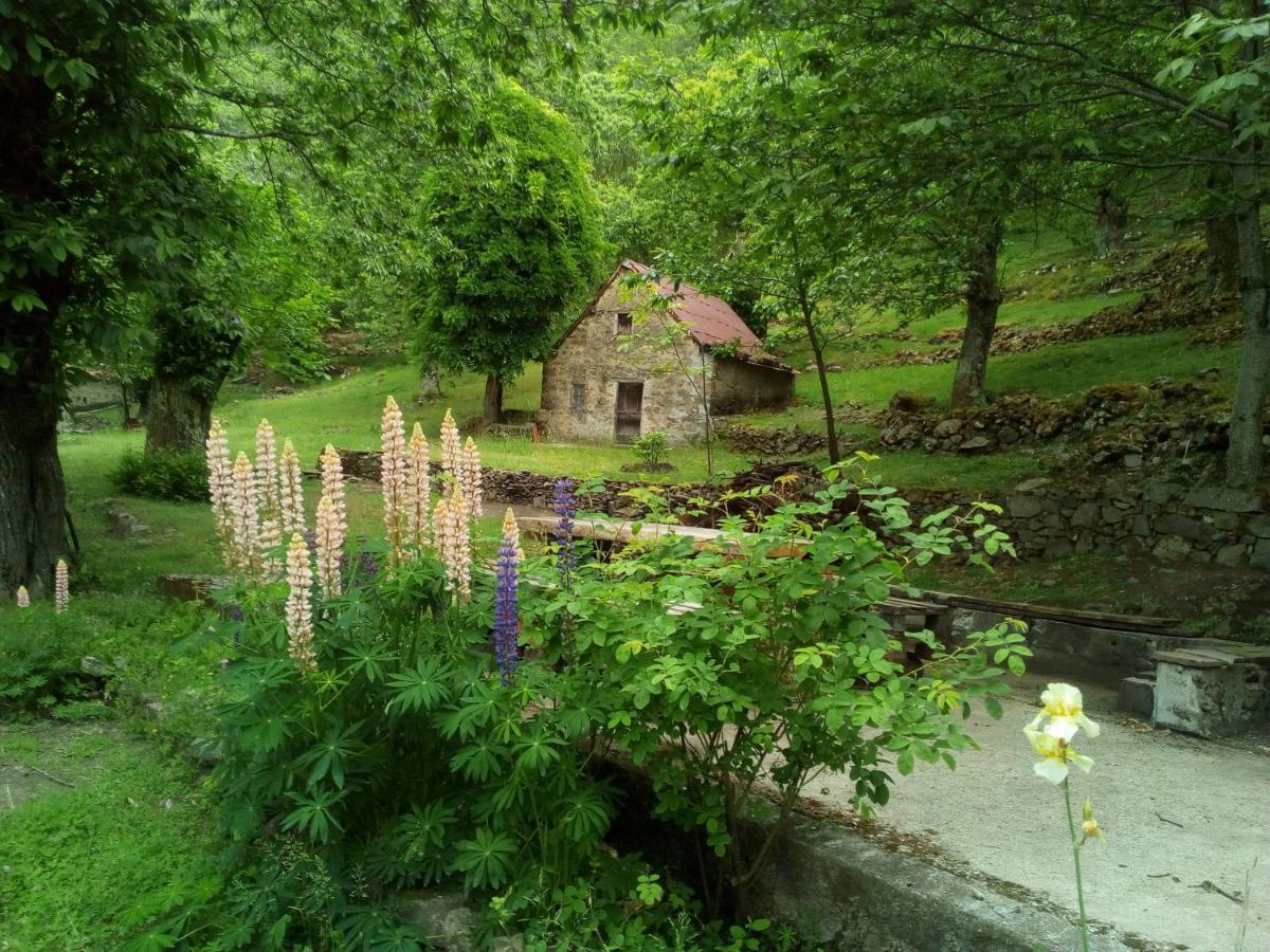 Casa Vacanze Le Muse Sillico Pieve Fosciana Bagian luar foto