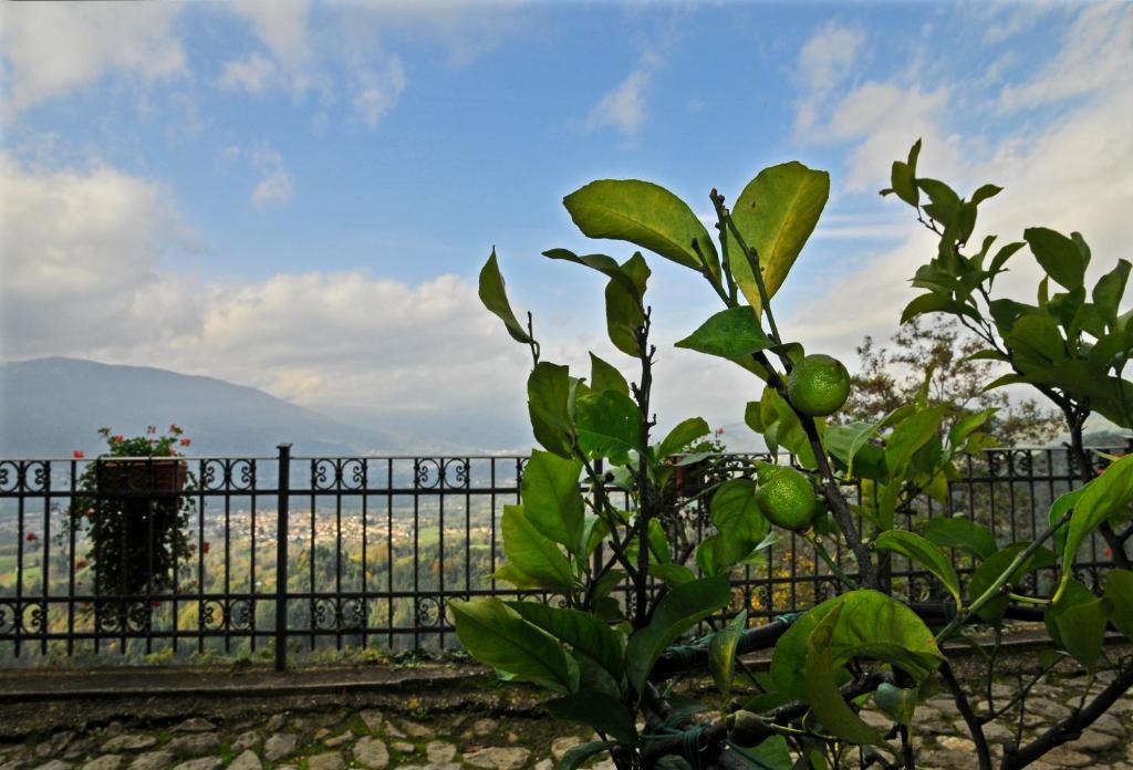 Casa Vacanze Le Muse Sillico Pieve Fosciana Bagian luar foto